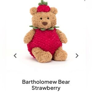 New with tags and Bag.  Jelly cat limited edition Strawberry Bear.